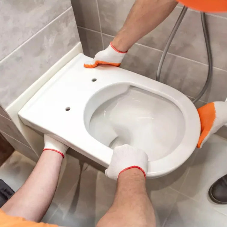 Toilet Repair Tecumseh